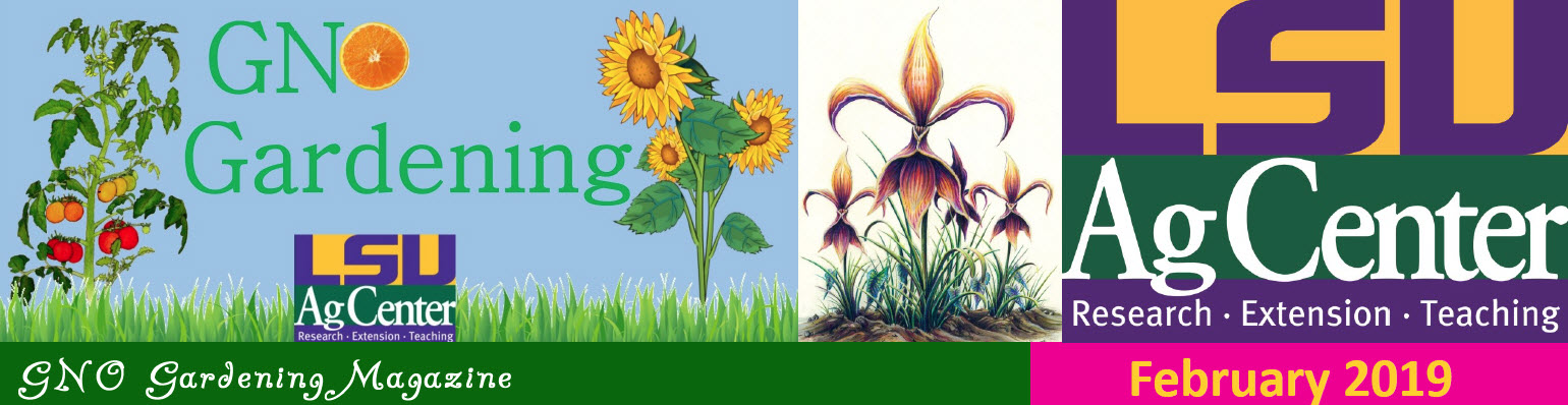 GNO Gardening - February 2019